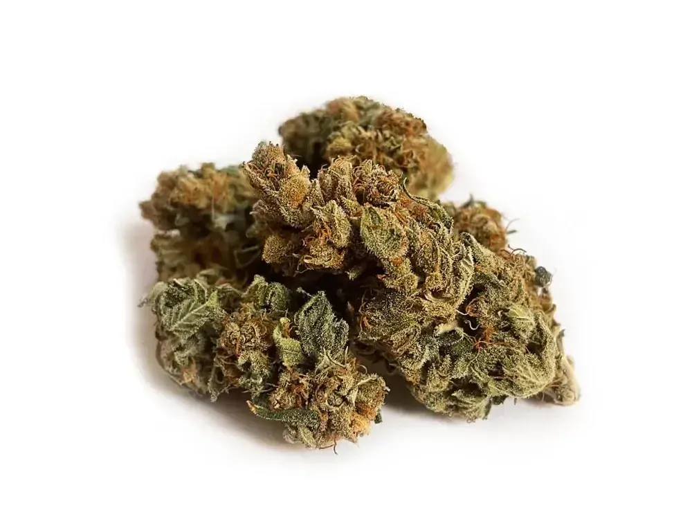 JK-53 konopný květ s CBD